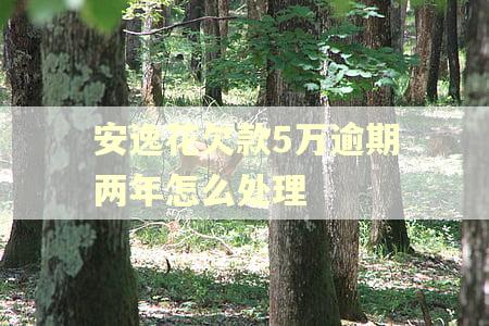 安逸花欠款5万逾期两年怎么处理