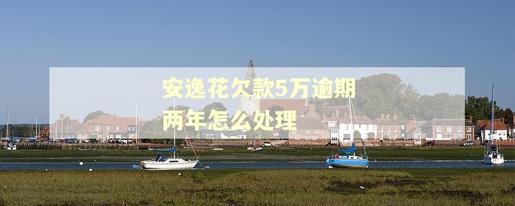 安逸花欠款5万逾期两年怎么处理