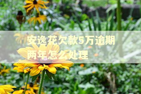 安逸花欠款5万逾期两年怎么处理 安逸花欠款5万逾期两年怎么处理