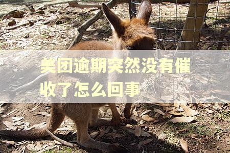 美团逾期突然没有催收了怎么回事