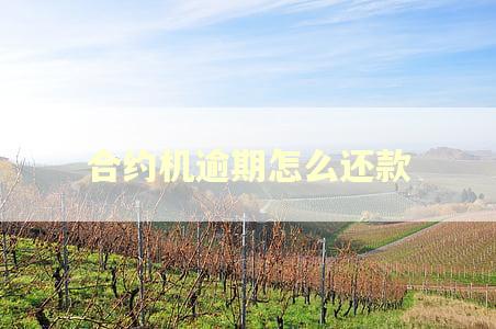 合约机逾期怎么还款