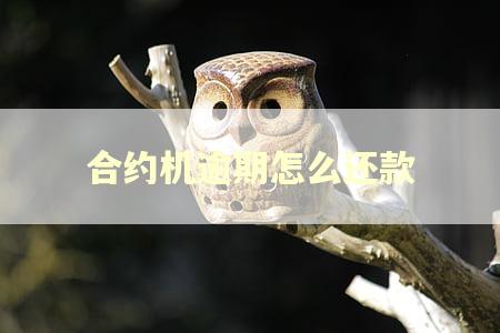 合约机逾期怎么还款