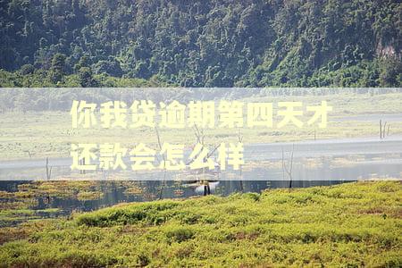 你我贷逾期第四天才还款会怎么样