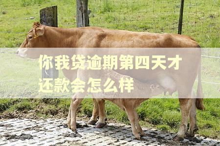 你我贷逾期第四天才还款会怎么样