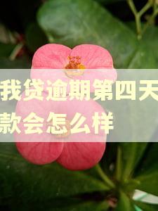 你我贷逾期第四天才还款会怎么样
