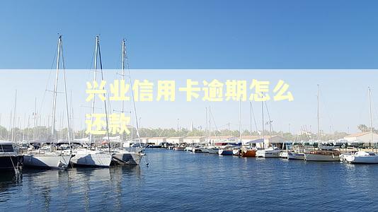 兴业信用卡逾期怎么还款