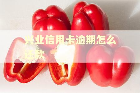 兴业信用卡逾期怎么还款