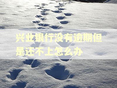 兴业银行没有逾期但是还不上怎么办