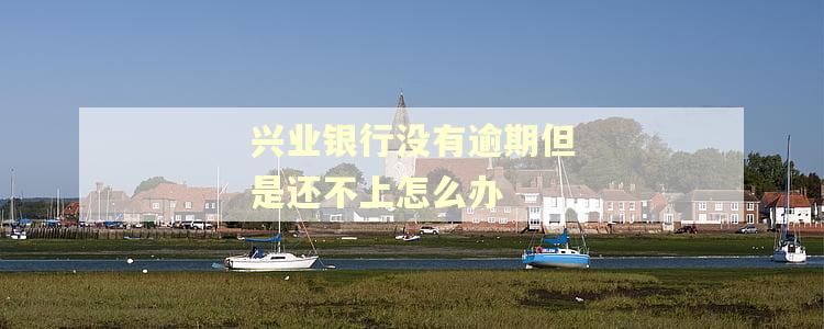 兴业银行没有逾期但是还不上怎么办