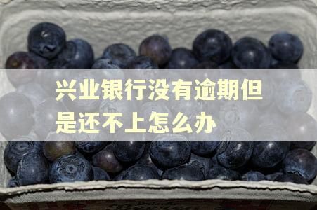 兴业银行没有逾期但是还不上怎么办