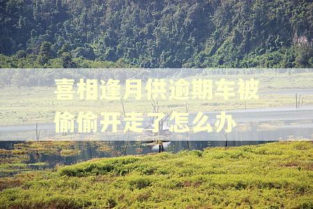 喜相逢月供逾期车被偷偷开走了怎么办
