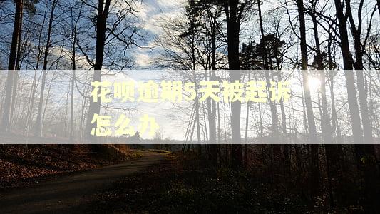 花呗逾期5天被起诉怎么办