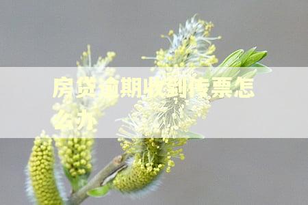 房贷逾期收到传票怎么办