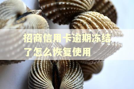 招商信用卡逾期冻结了怎么恢复使用