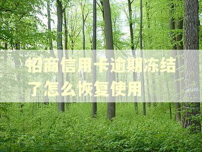招商信用卡逾期冻结了怎么恢复使用