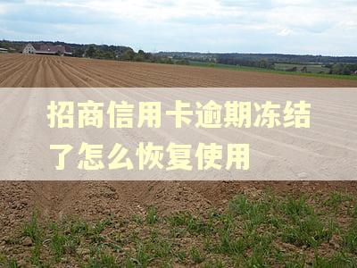 招商信用卡逾期冻结了怎么恢复使用