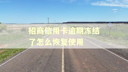 招商信用卡逾期冻结了怎么恢复使用