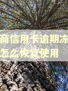 招商信用卡逾期冻结了怎么恢复使用