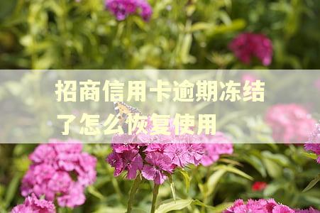 招商信用卡逾期冻结了怎么恢复使用 招商信用卡逾期冻结了怎么恢复使用