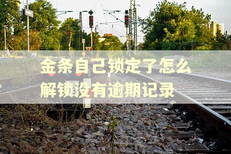 金条自己锁定了怎么解锁没有逾期记录