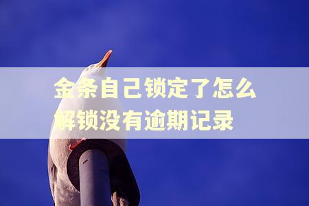 金条自己锁定了怎么解锁没有逾期记录