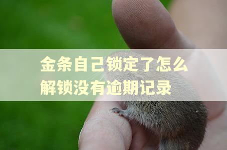 金条自己锁定了怎么解锁没有逾期记录 金条自己锁定了怎么解锁没有逾期记录