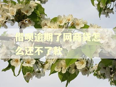 借呗逾期了网商贷怎么还不了款