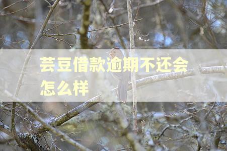 芸豆借款逾期不还会怎么样