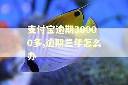 支付宝逾期30000多,逾期三年怎么办