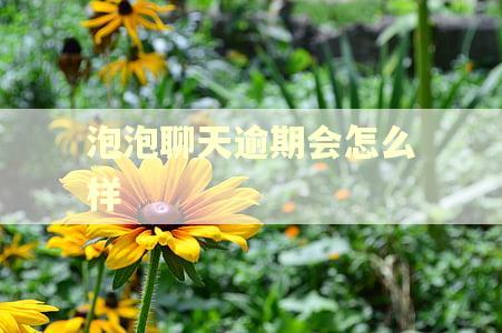 泡泡聊天逾期会怎么样