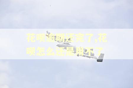 花呗逾期还完了,花呗怎么还是用不了