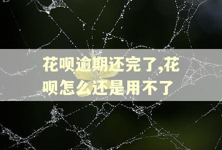 花呗逾期还完了,花呗怎么还是用不了