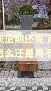 花呗逾期还完了,花呗怎么还是用不了