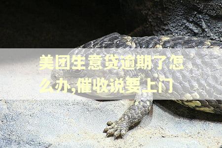 美团生意贷逾期了怎么办,催收说要上门