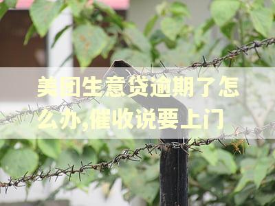 美团生意贷逾期了怎么办,催收说要上门