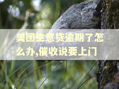 美团生意贷逾期了怎么办,催收说要上门