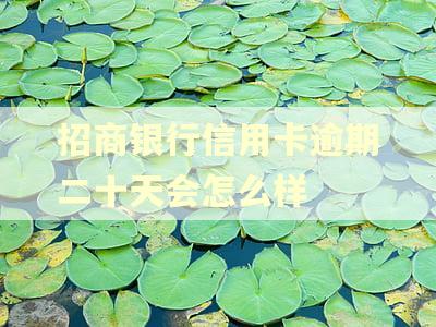 招商银行信用卡逾期二十天会怎么样