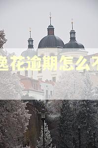 安逸花逾期怎么不显示