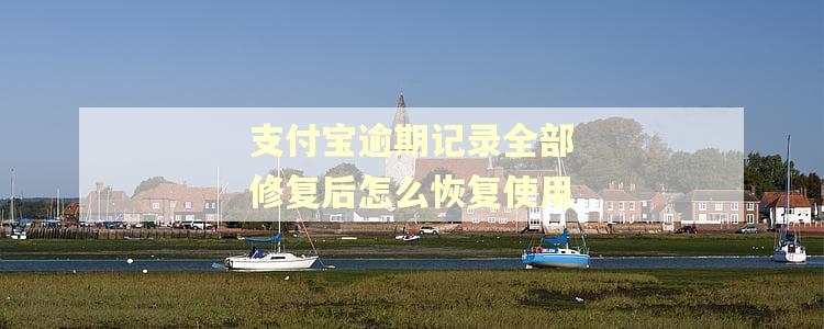 支付宝逾期记录全部修复后怎么恢复使用