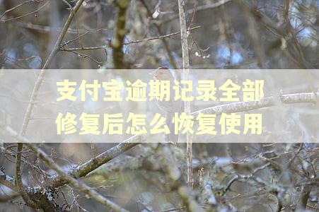 支付宝逾期记录全部修复后怎么恢复使用 支付宝逾期记录全部修复后怎么恢复使用