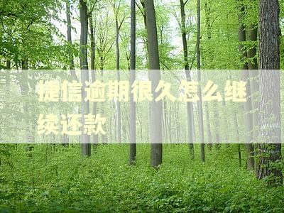 捷信逾期很久怎么继续还款