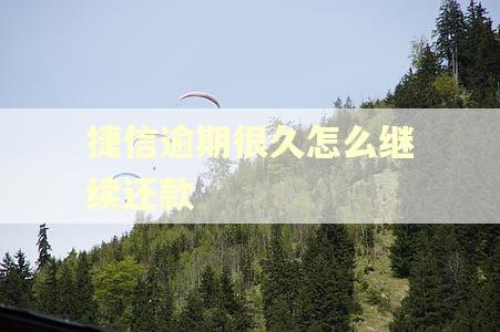 捷信逾期很久怎么继续还款