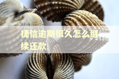 捷信逾期很久怎么继续还款 捷信逾期很久怎么继续还款