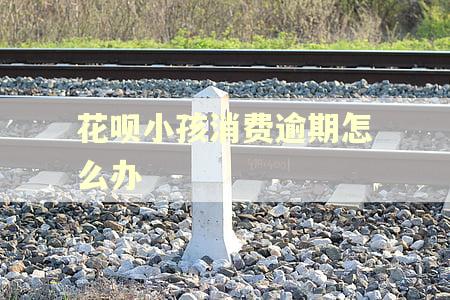 花呗小孩消费逾期怎么办