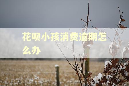 花呗小孩消费逾期怎么办