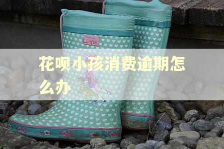 花呗小孩消费逾期怎么办 花呗小孩消费逾期怎么办