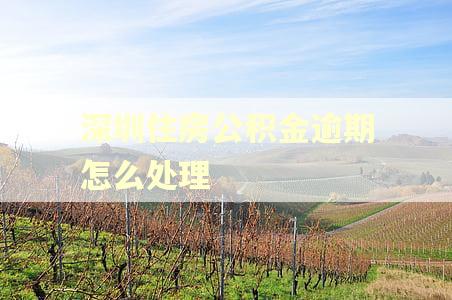 深圳住房公积金逾期怎么处理