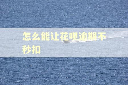 怎么能让花呗逾期不秒扣