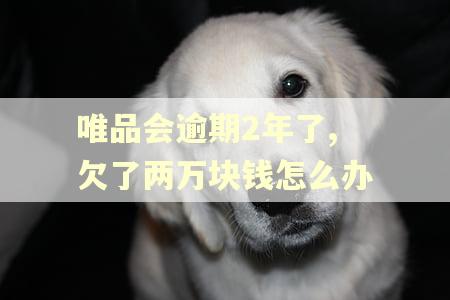 唯品会逾期2年了,欠了两万块钱怎么办