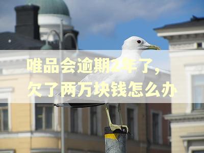 唯品会逾期2年了,欠了两万块钱怎么办